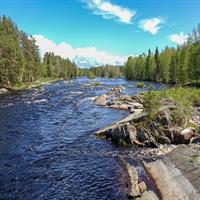 Western Finland Coast