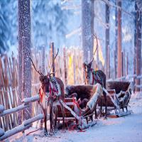 Finnish Lapland