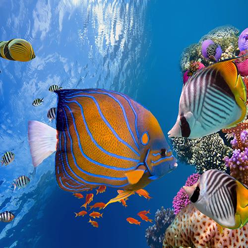 UNESCO World Heritage Sites of the Caribbean