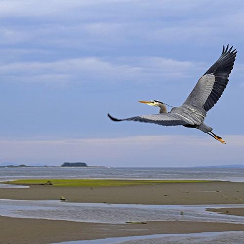Nature and Adventure in Canada