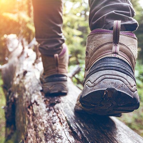 Nature and Adventure in Canada