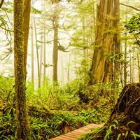 Nature and Adventure in Canada