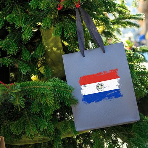 View of Christmas in Paraguay - Asuncion
