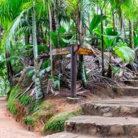 View of Vallée de Mai Nature Reserve (Seychelles)