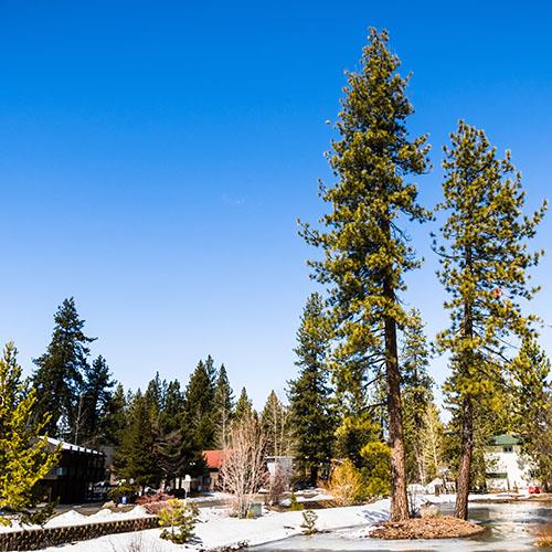Lake Michigan Shore South