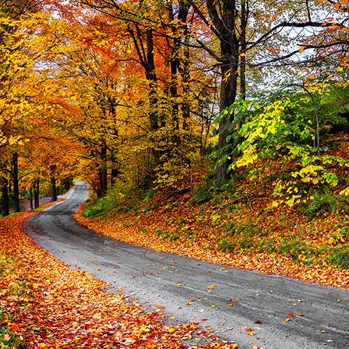 Nature & Adventure in New England