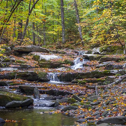 Nature and Adventure in the Northeast