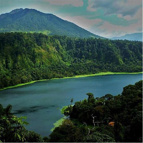 Sarapiqui Rainforest