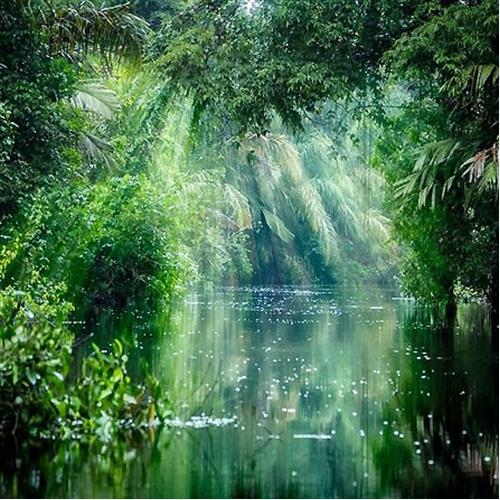 Tortuguero National Park