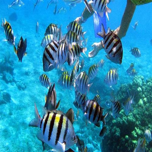 Nature and Adventure in Belize