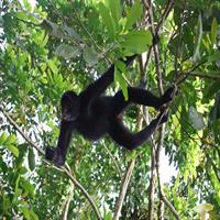 Off the Beaten Path in Belize