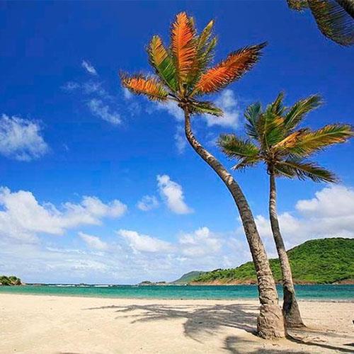 View of St Lucia