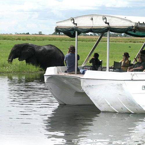 View of Okavango Delta (Botswana)