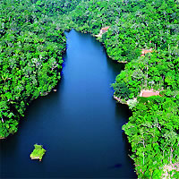 Brazilian Amazon