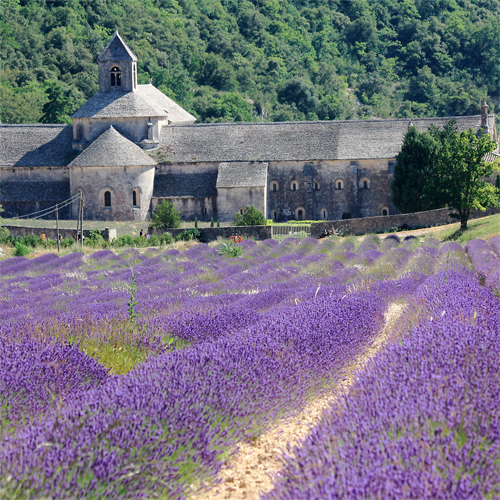 Provence