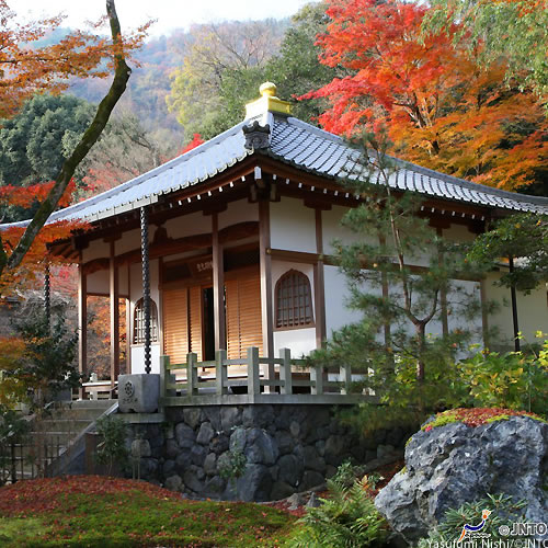 Kyoto Vacation Packages | Vacation to Kyoto | Tripmasters